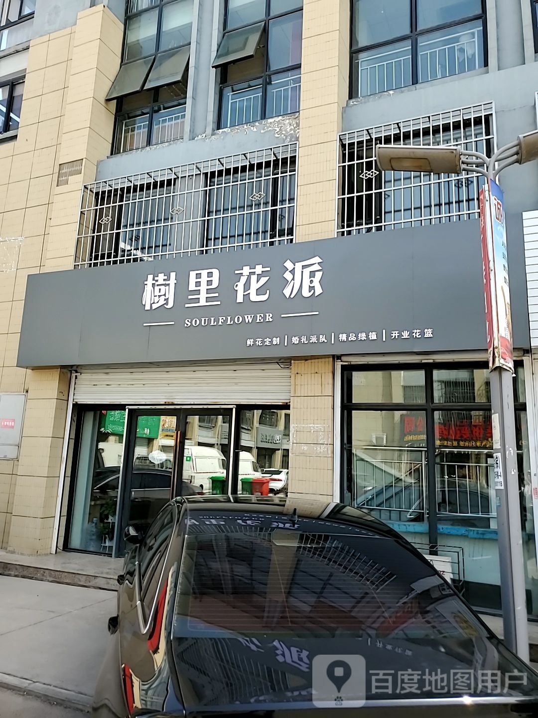 树里花派