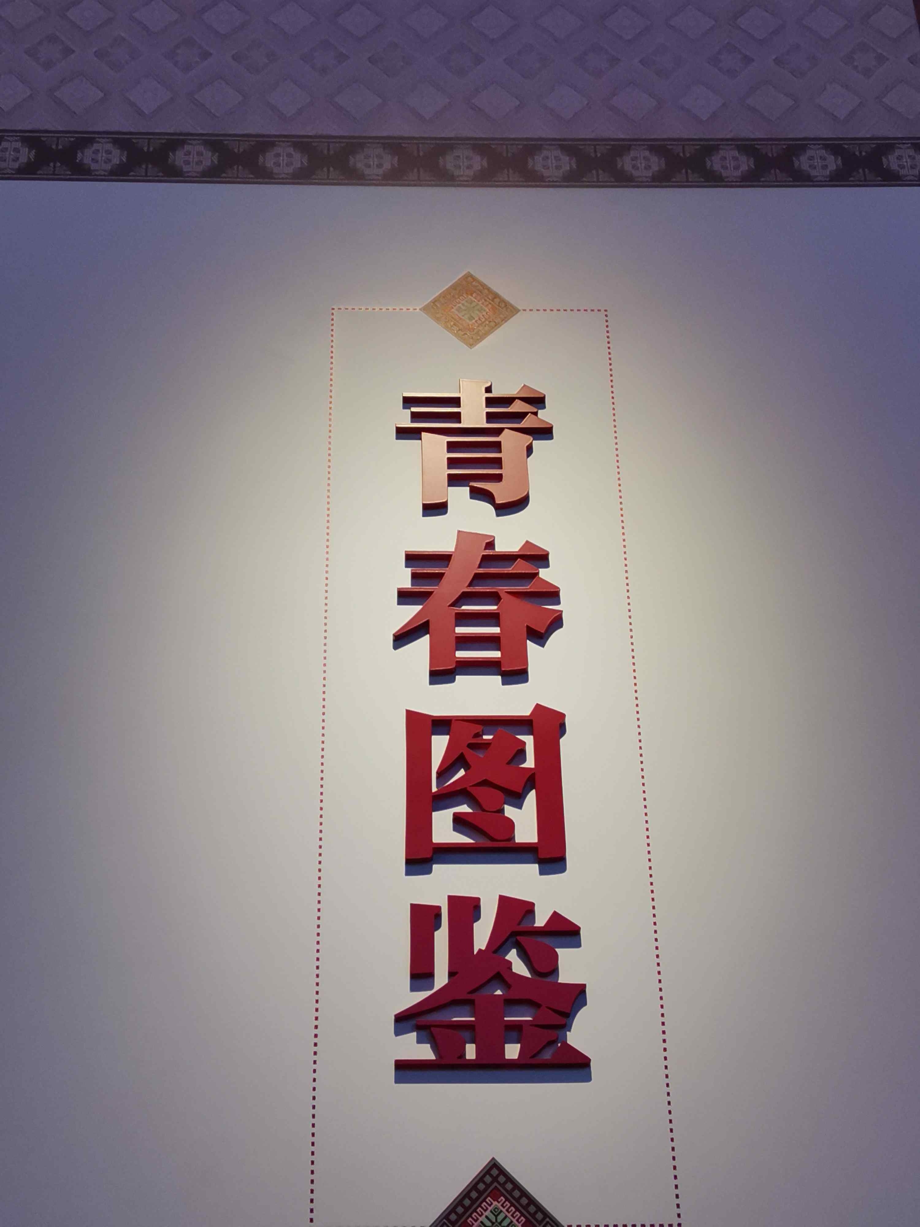 青春图鉴展厅