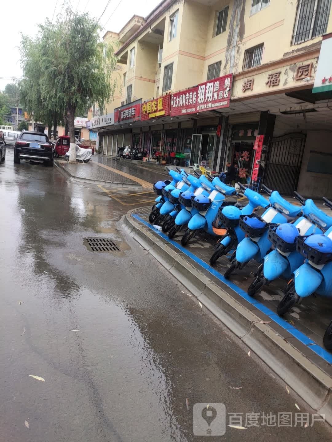 翎羽信鸽用品店