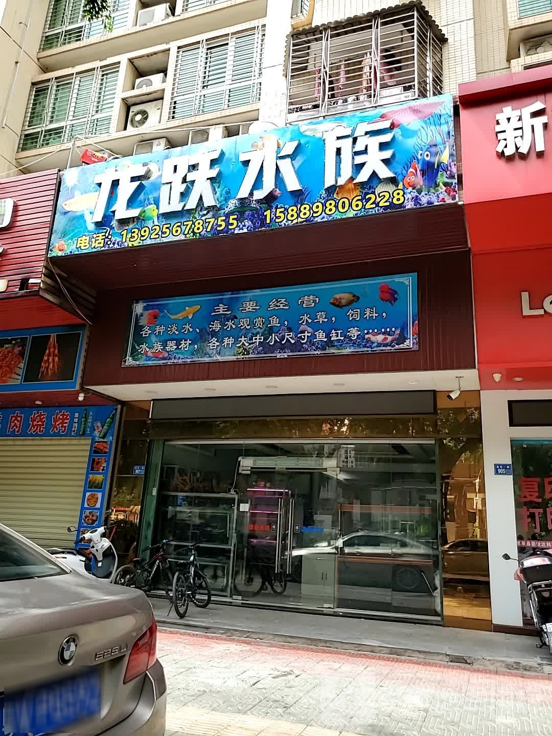 龙跃水族(华强广场店)