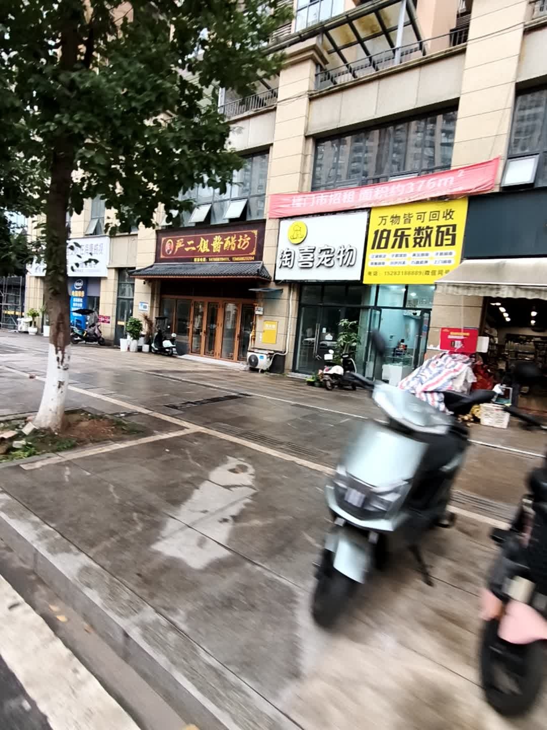淘喜宠物(龙湾国际3期店)