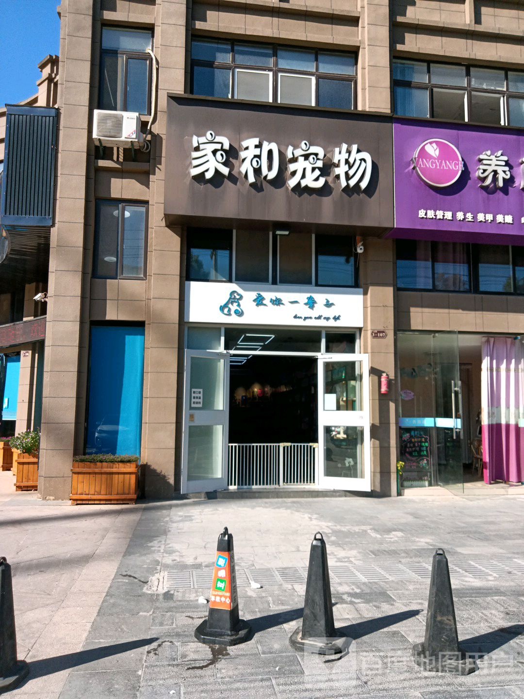 家和宠物