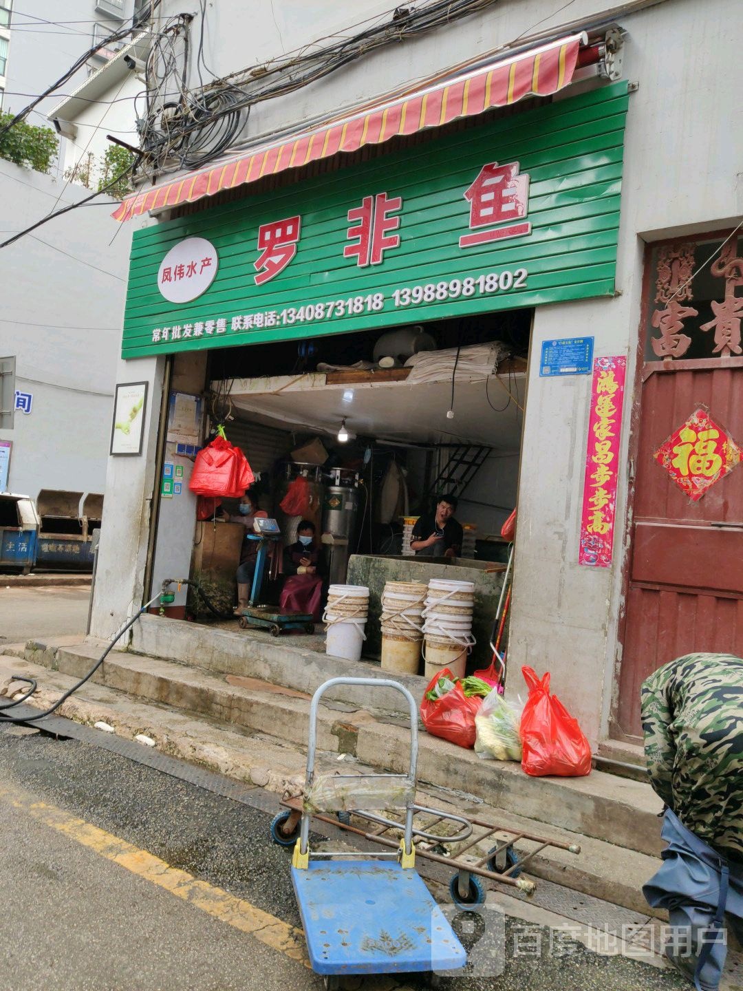 凤媛水产