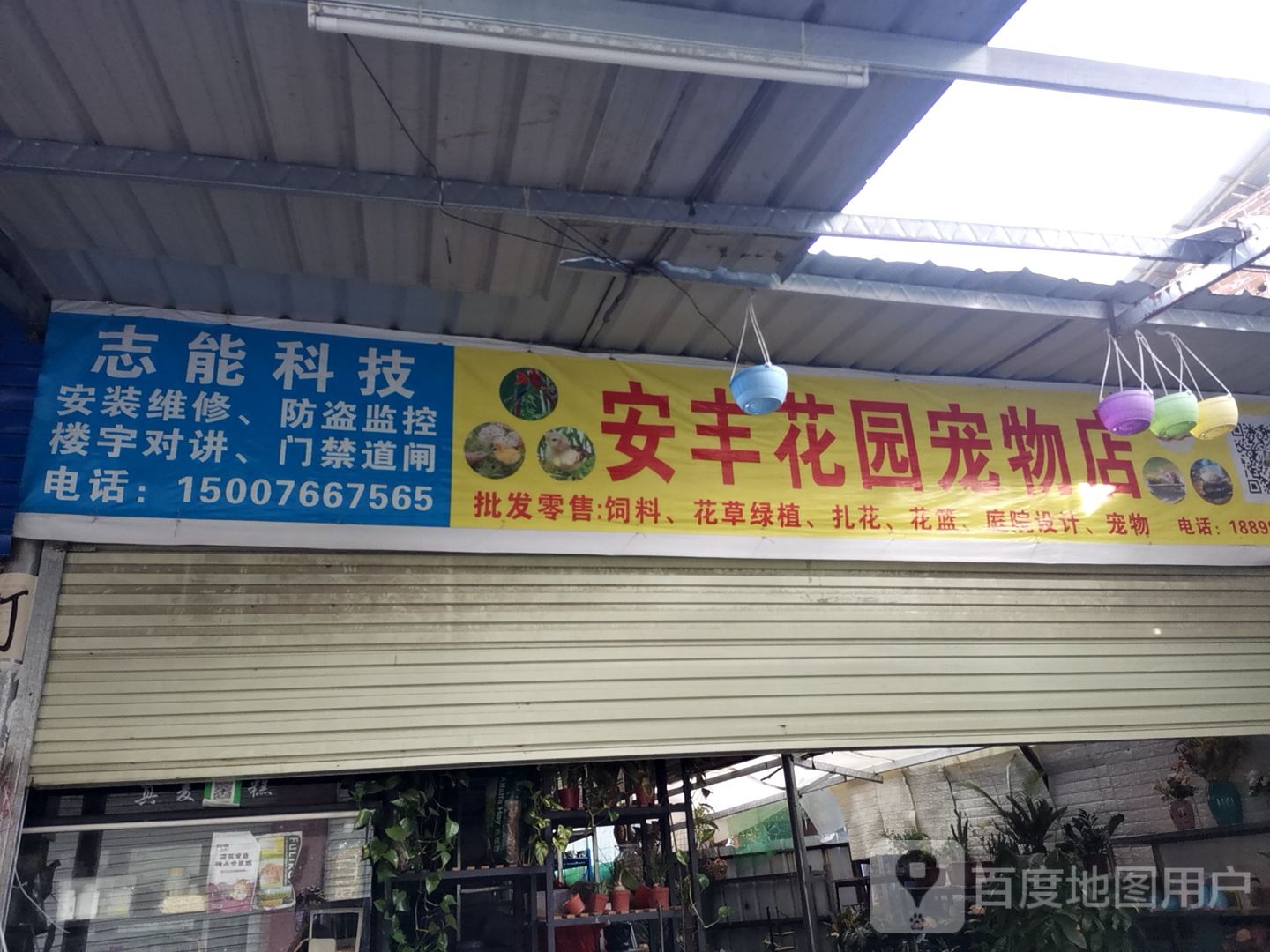 安丰花园宠物店