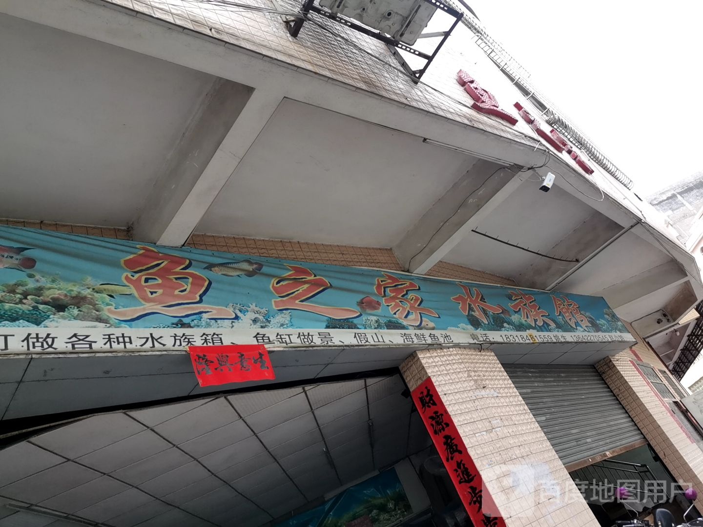 鱼之家水族馆(新兴旗舰店)