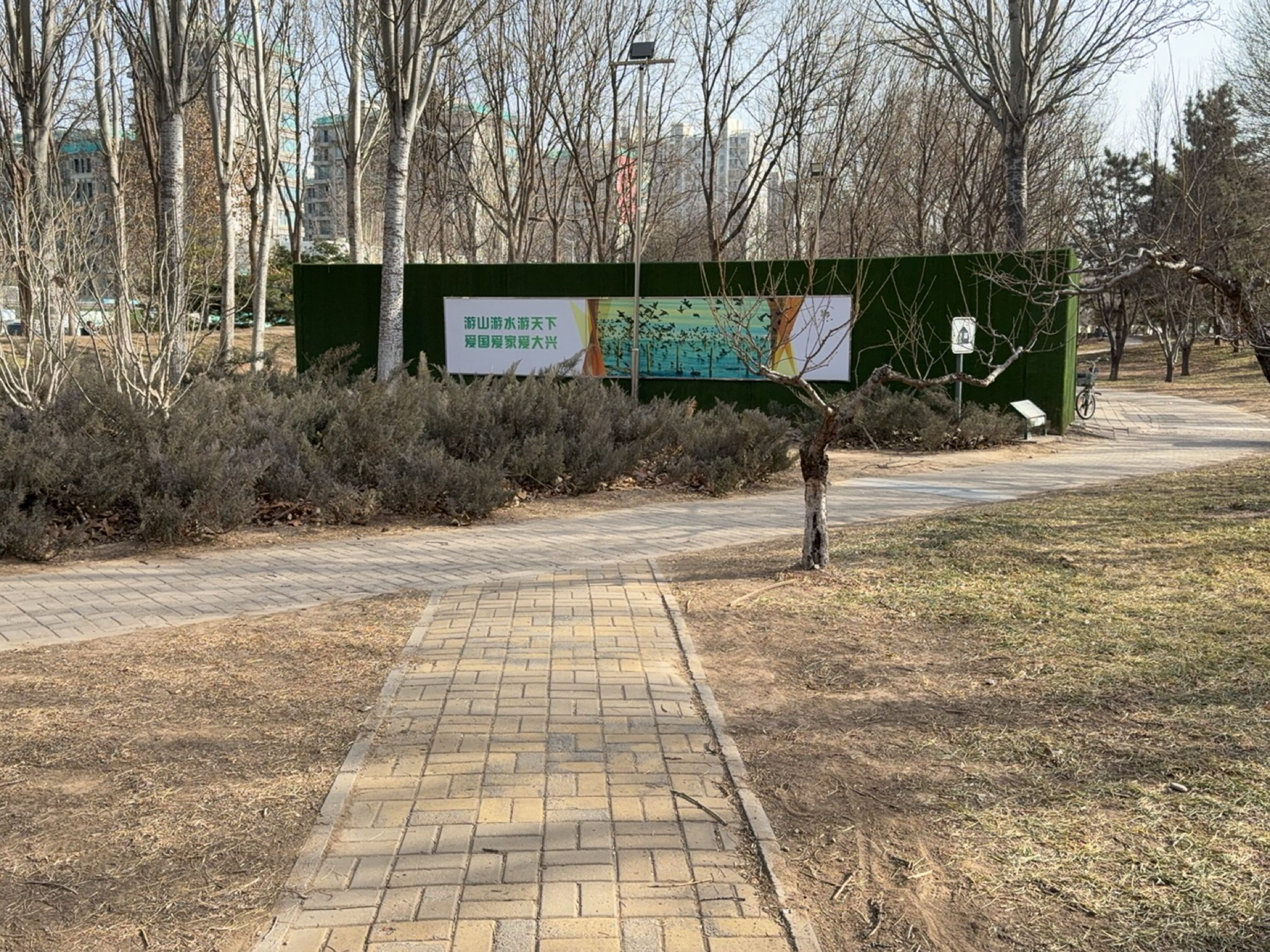 兴旺公园-乒乓球场