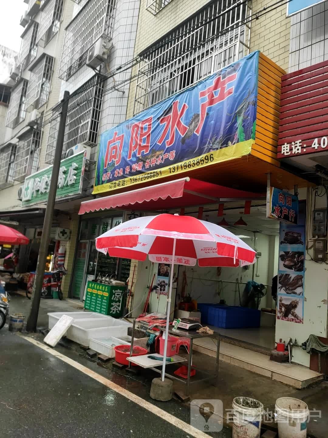 向阳水产