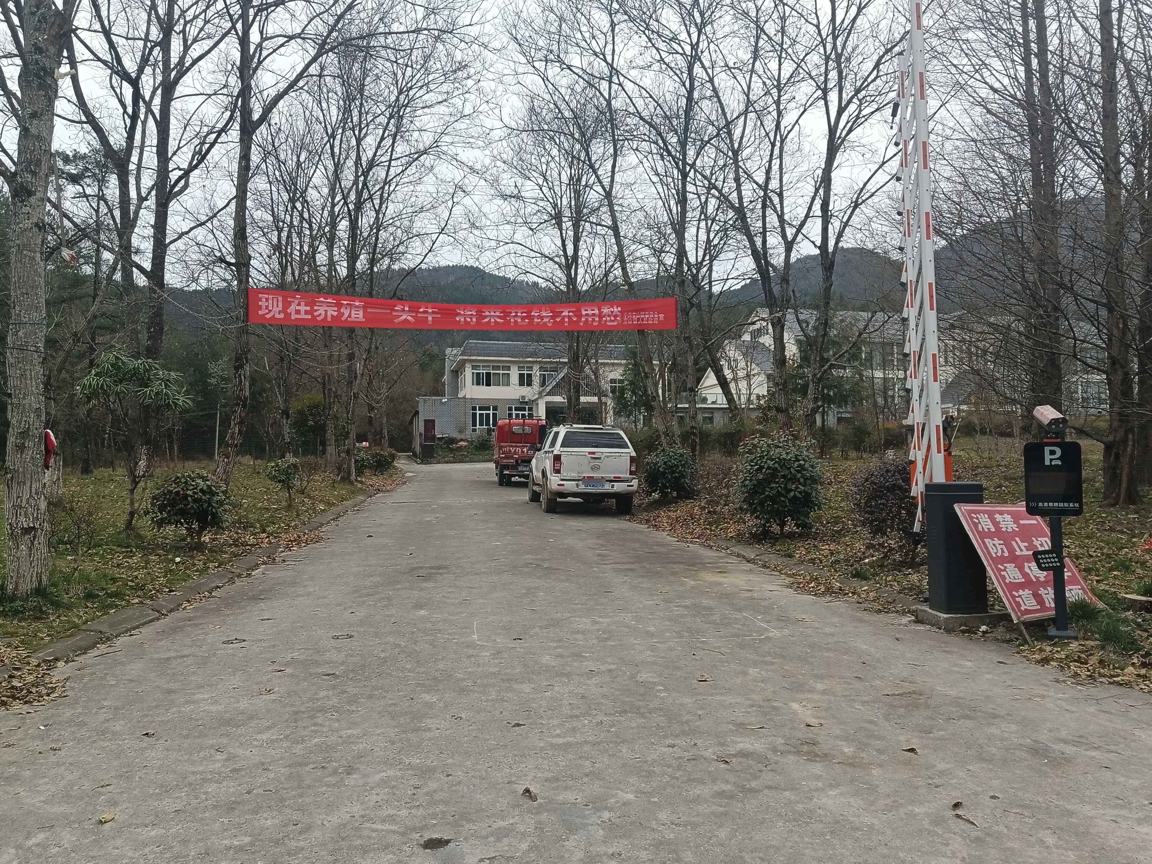 空山大酒店停车场-出入口