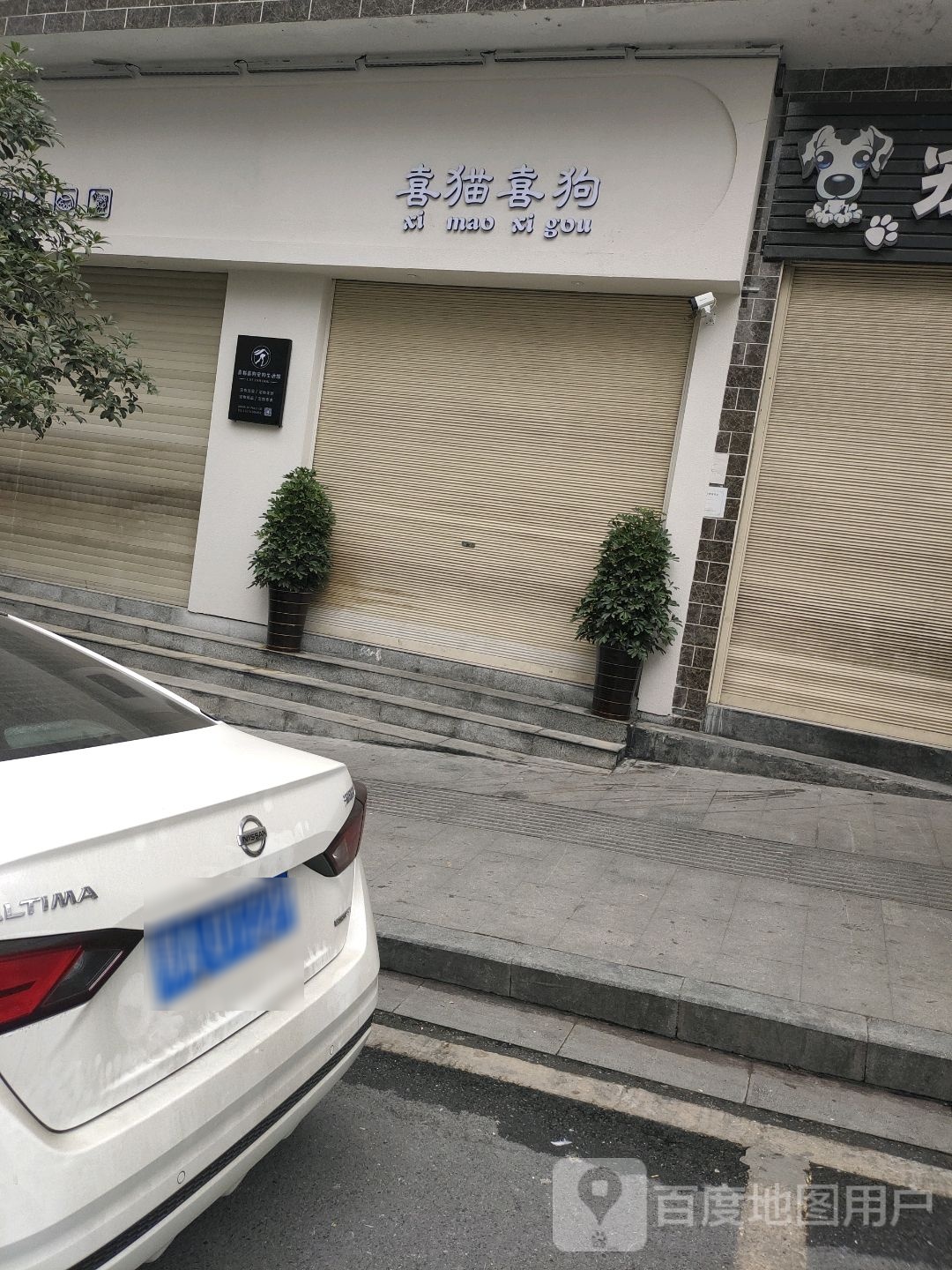 喜猫喜狗