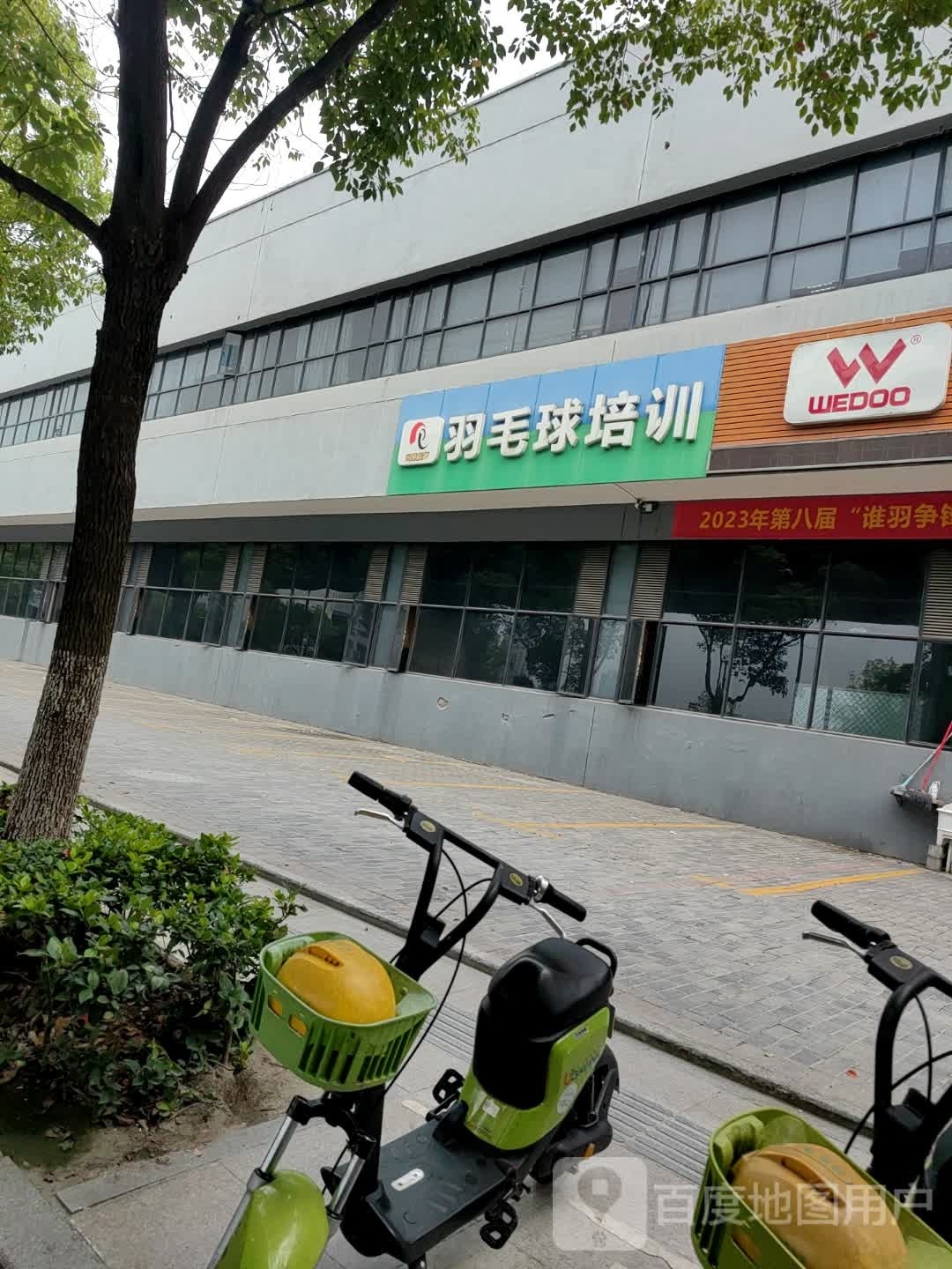 羽毛球培训