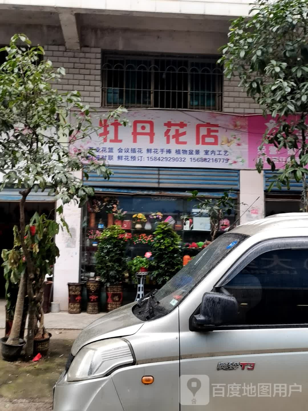 牡丹花店