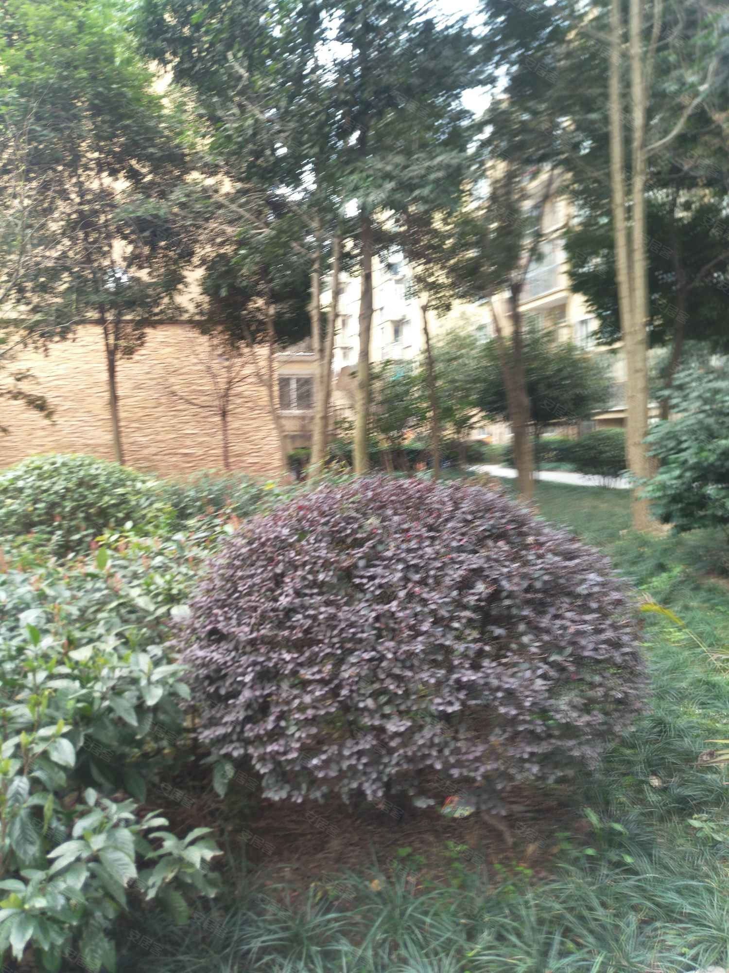 龙城御景
