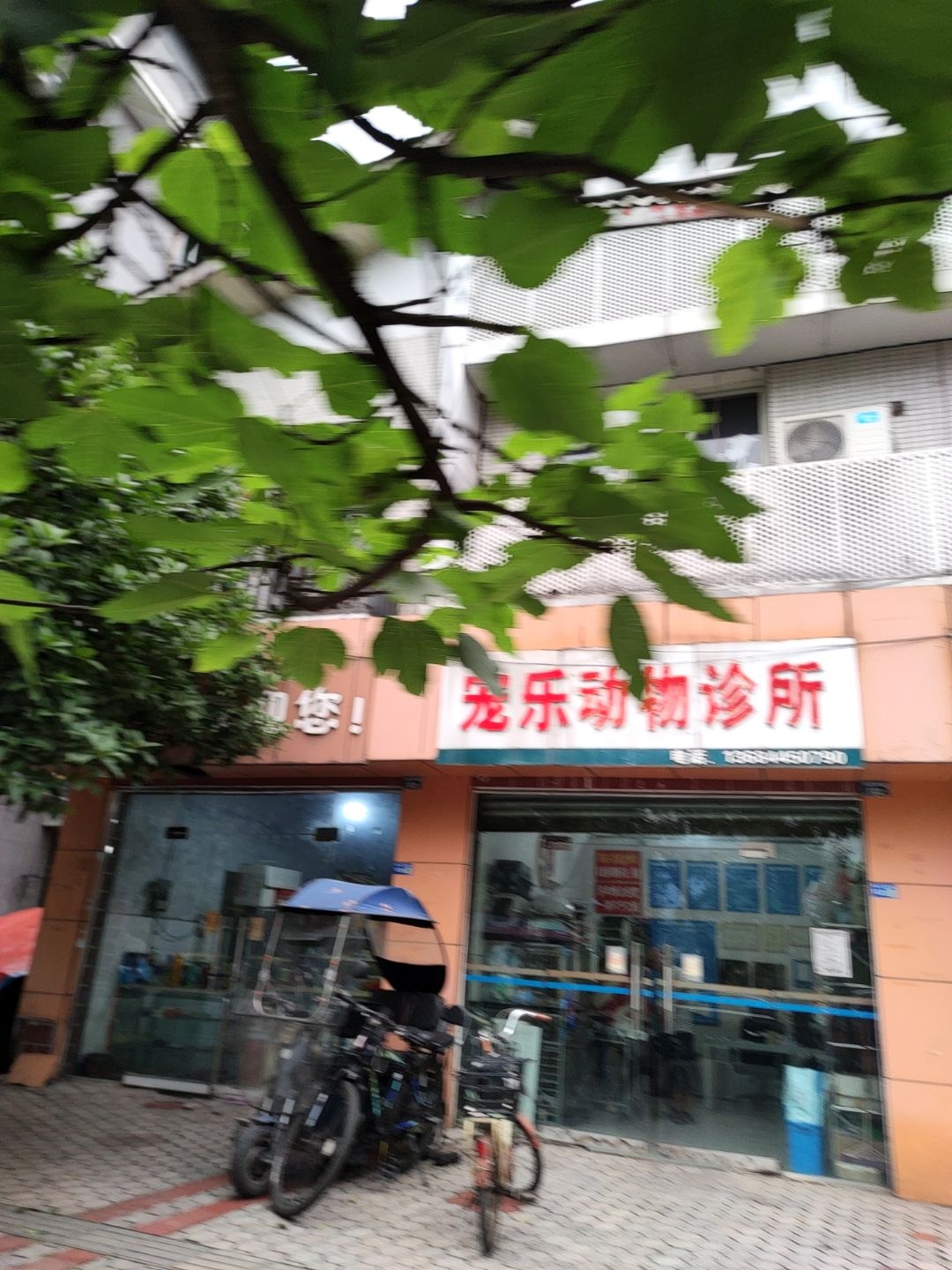 宠乐动物诊所