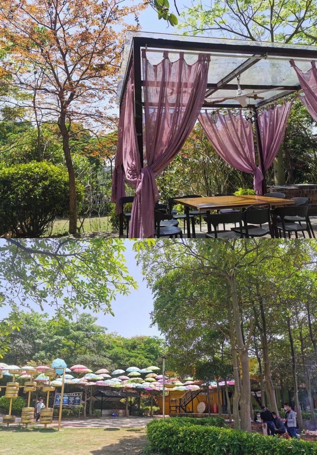 原乡聚落·高峰