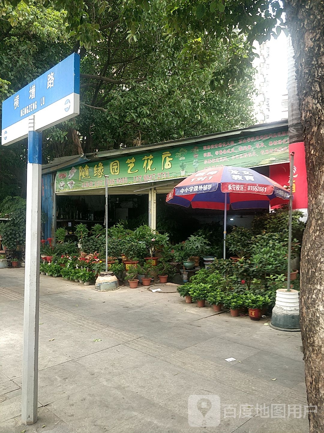 随缘园艺花店