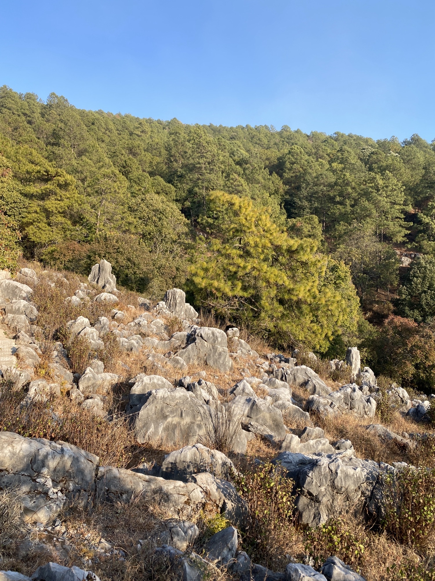 攀枝花大黑山森林公园小石林垭口