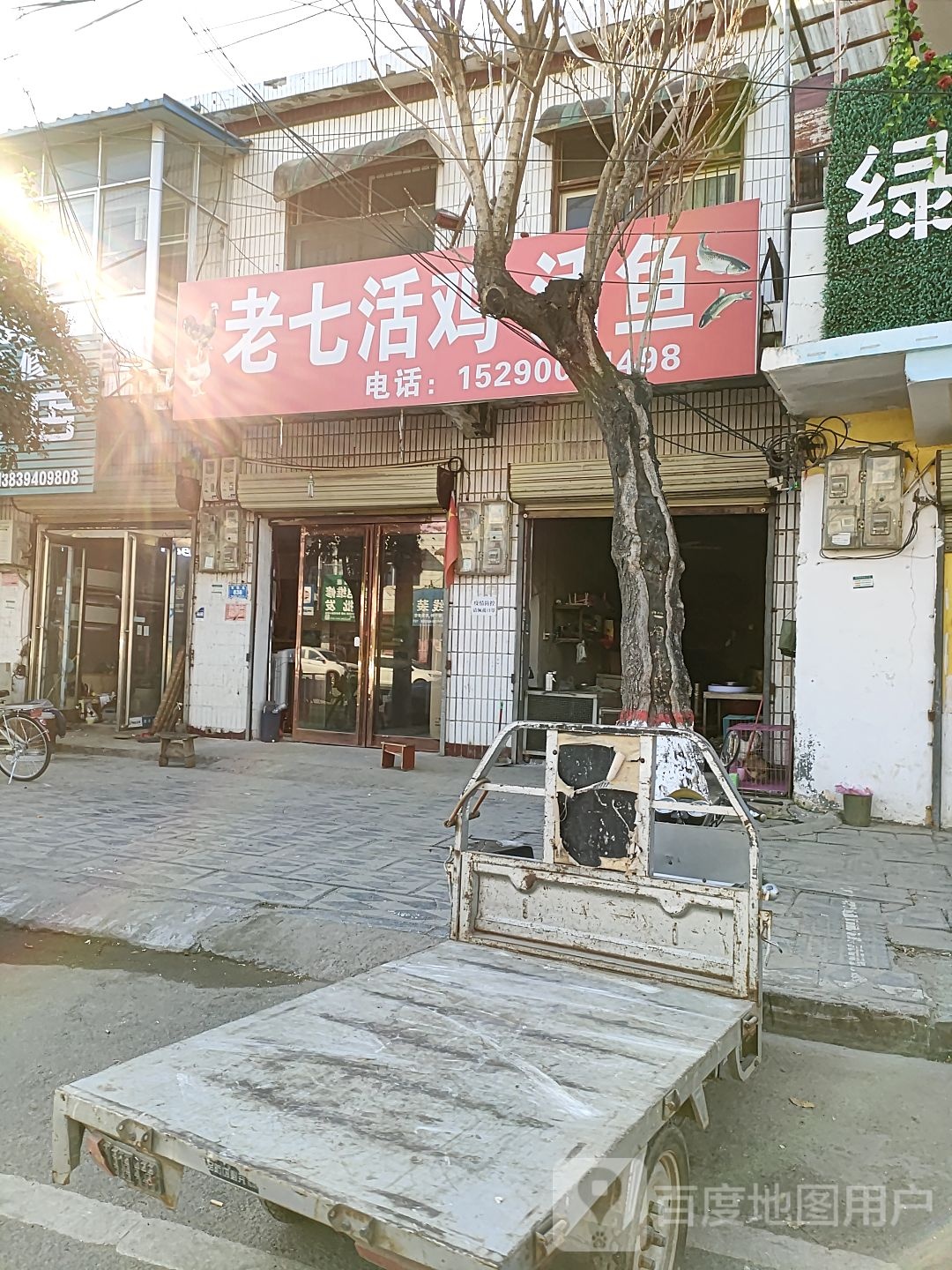 西华县活鸡活鱼(青华路店)