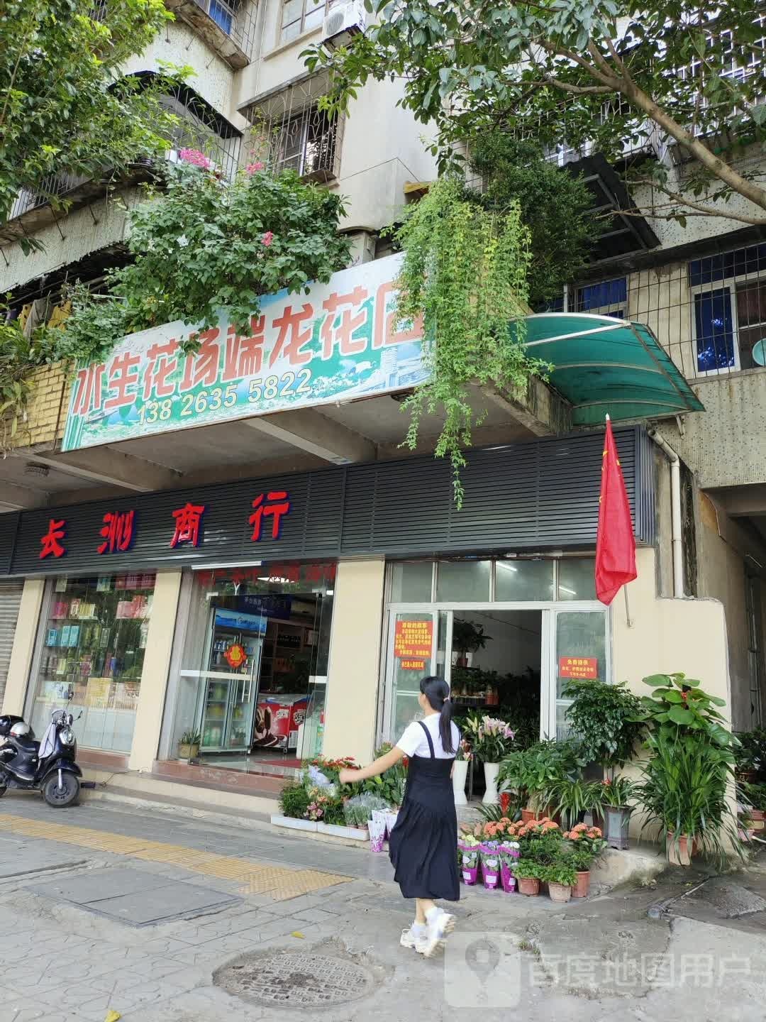 水生花场端龙花店