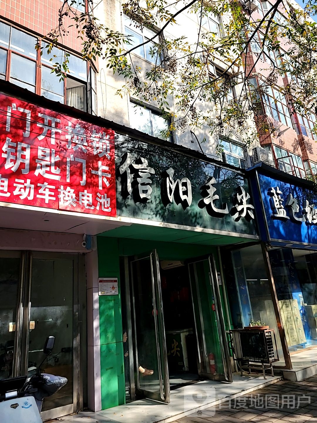 信阳毛尖(红专路店)