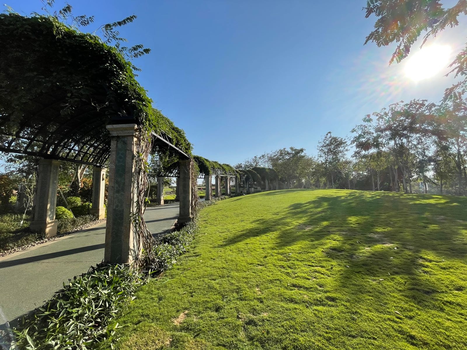 中国海南海花岛