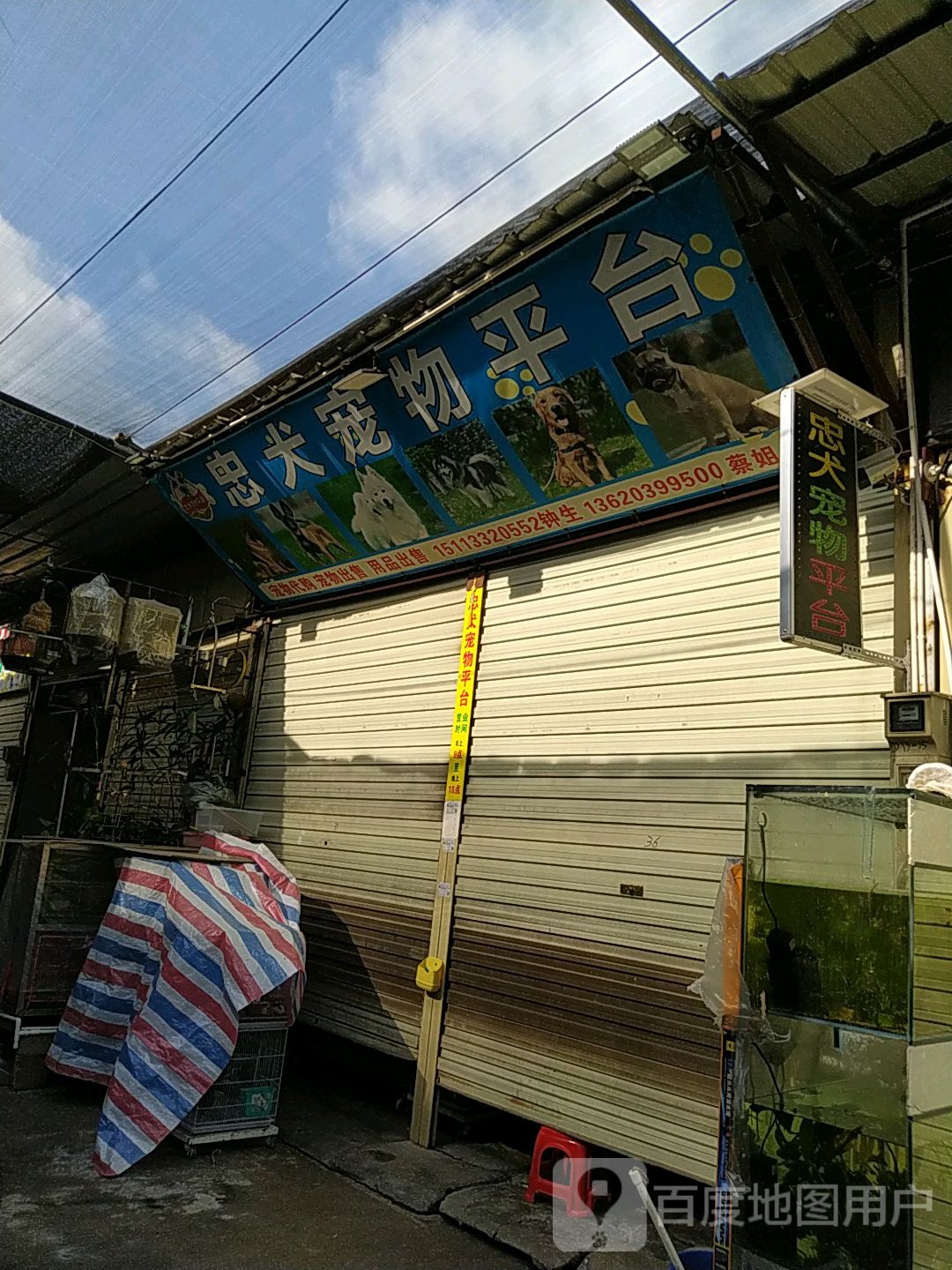 忠犬宠物平台