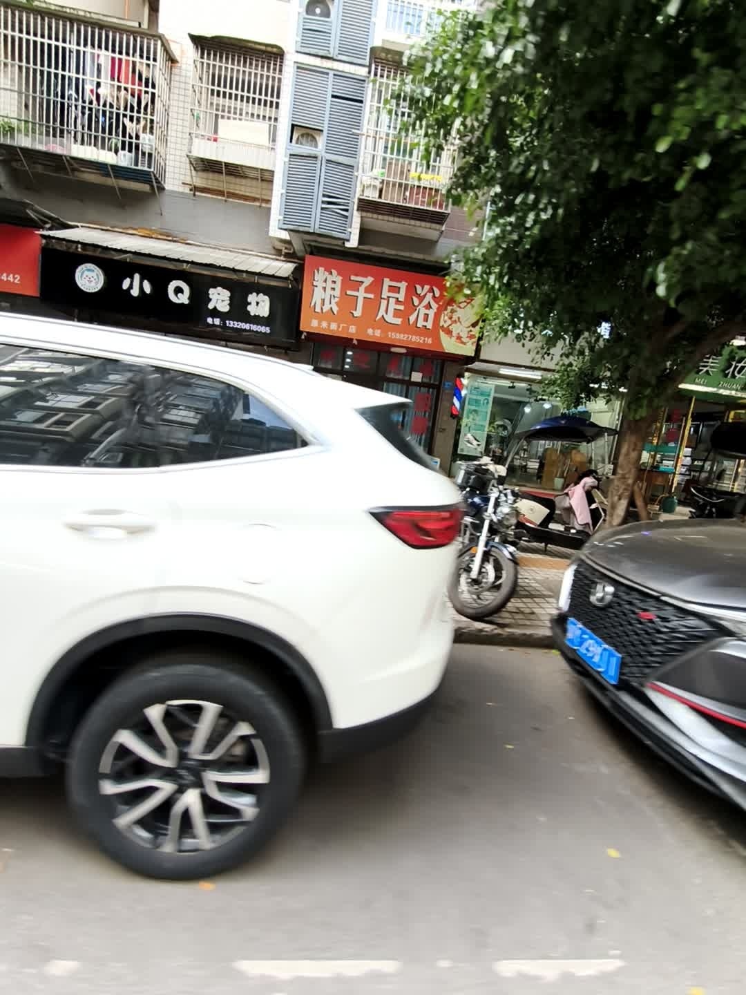 小Q宠物(丽景天城A区店)