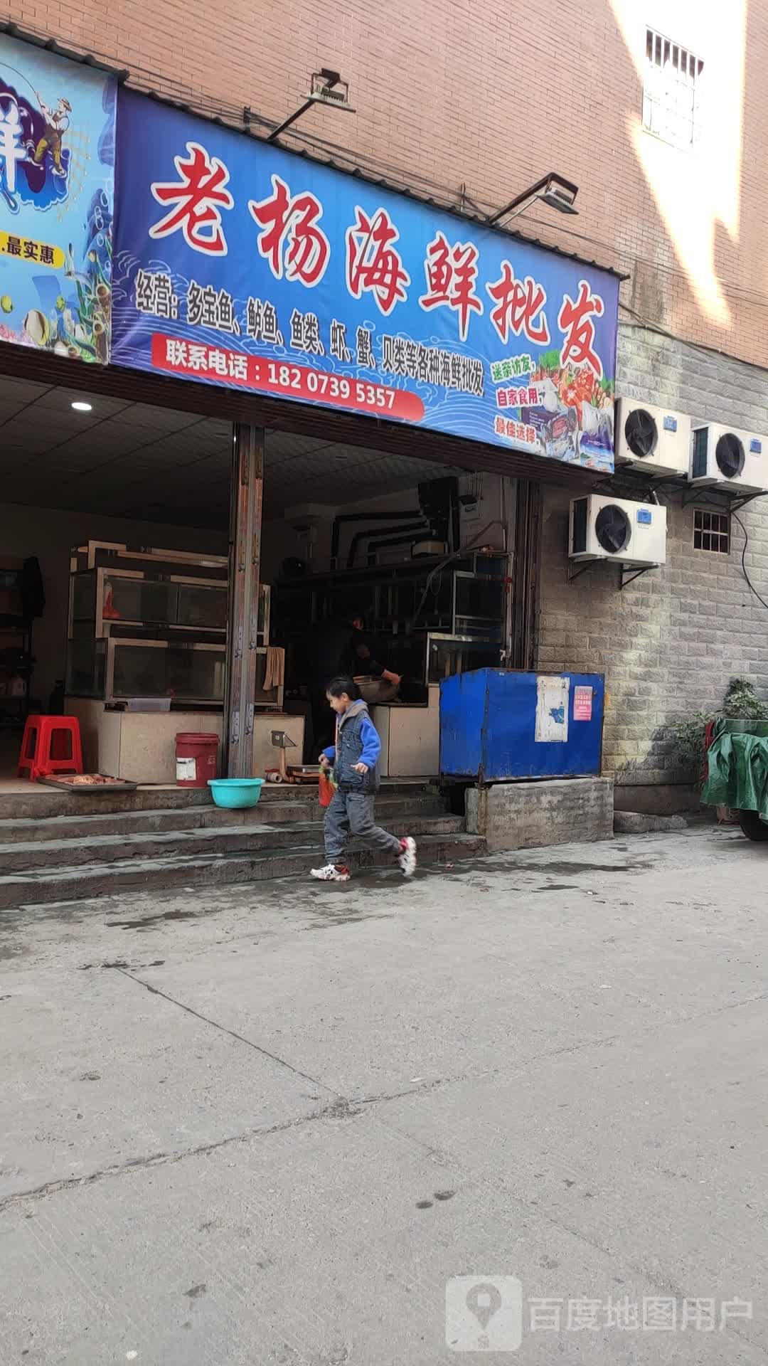 老阳海鲜批发