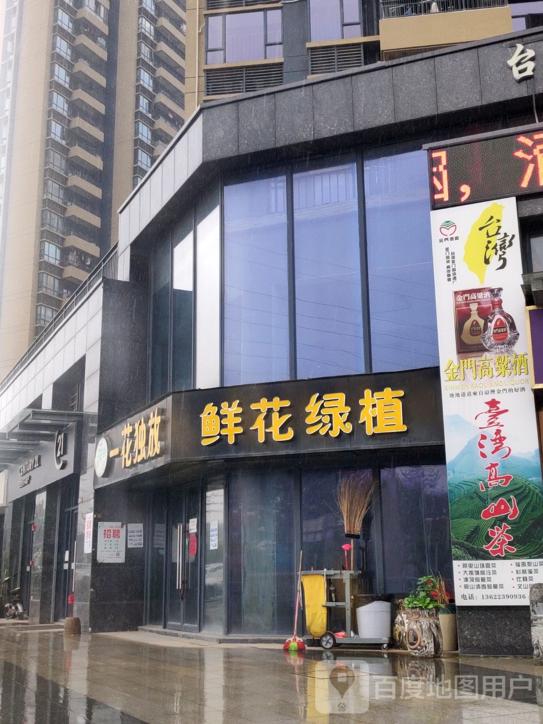 一花独放鲜花绿植(花店)