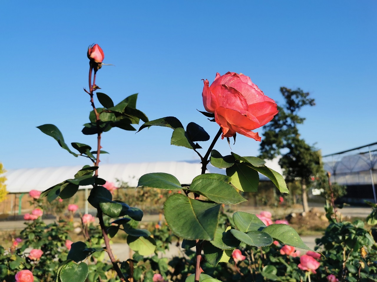 龙源旅游度假区