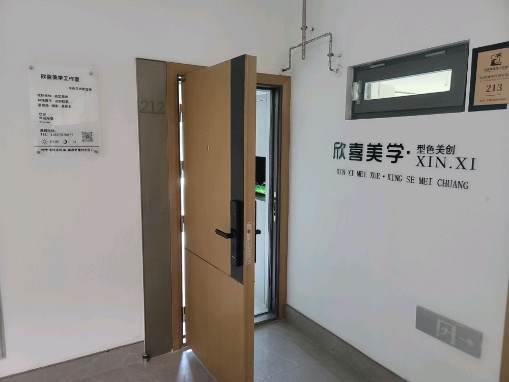欣喜美学