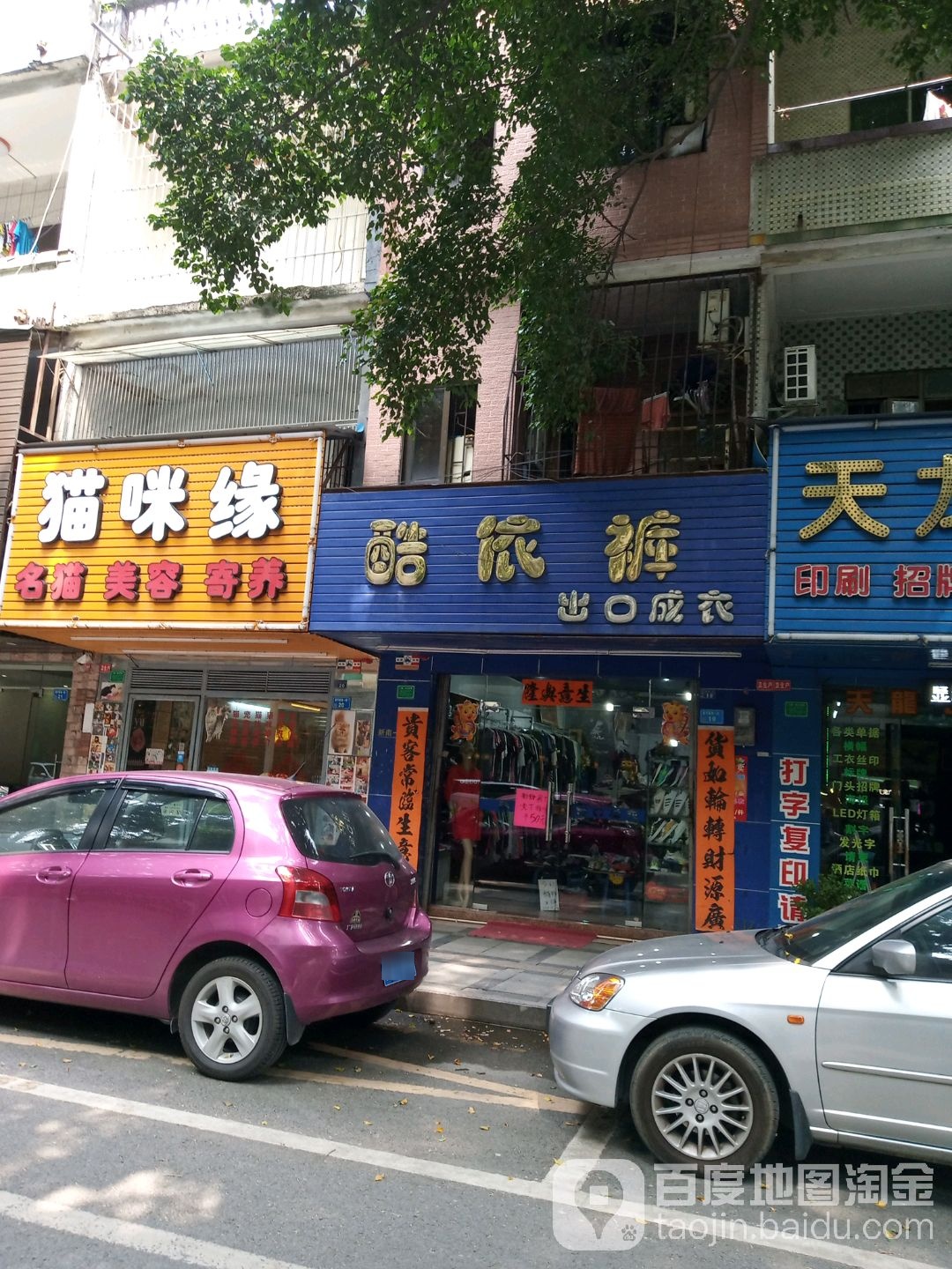 猫咪缘宠物店(常平店)