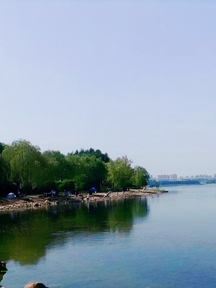 丁香东湖公园