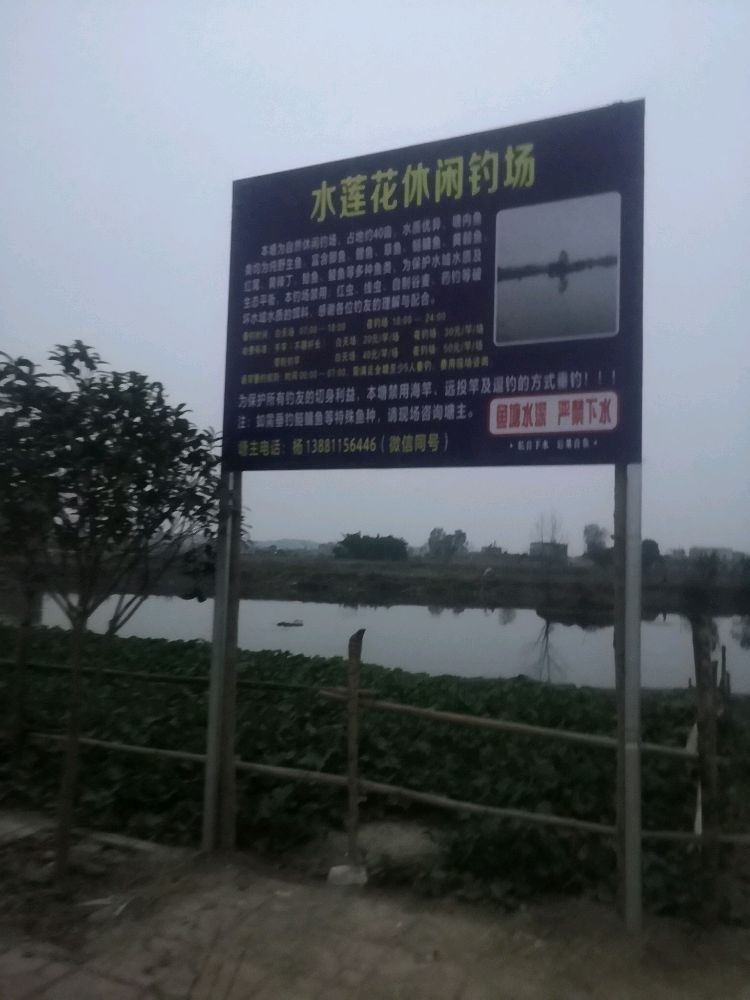 水莲花休闲钓场