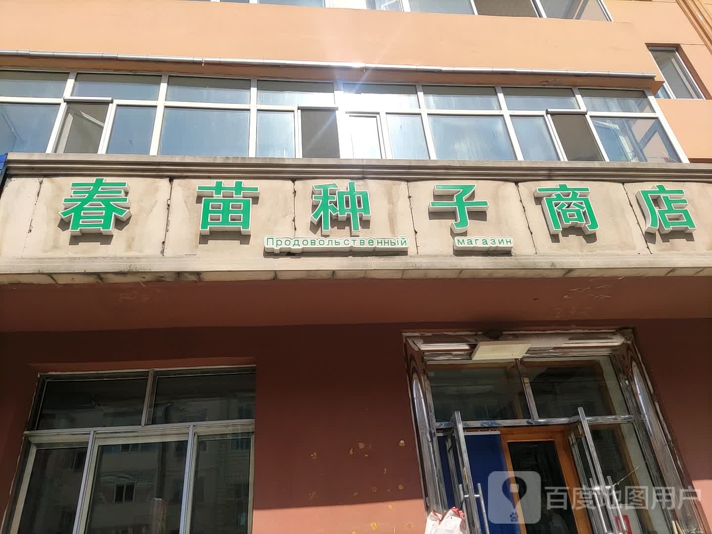 春苗种子商店。