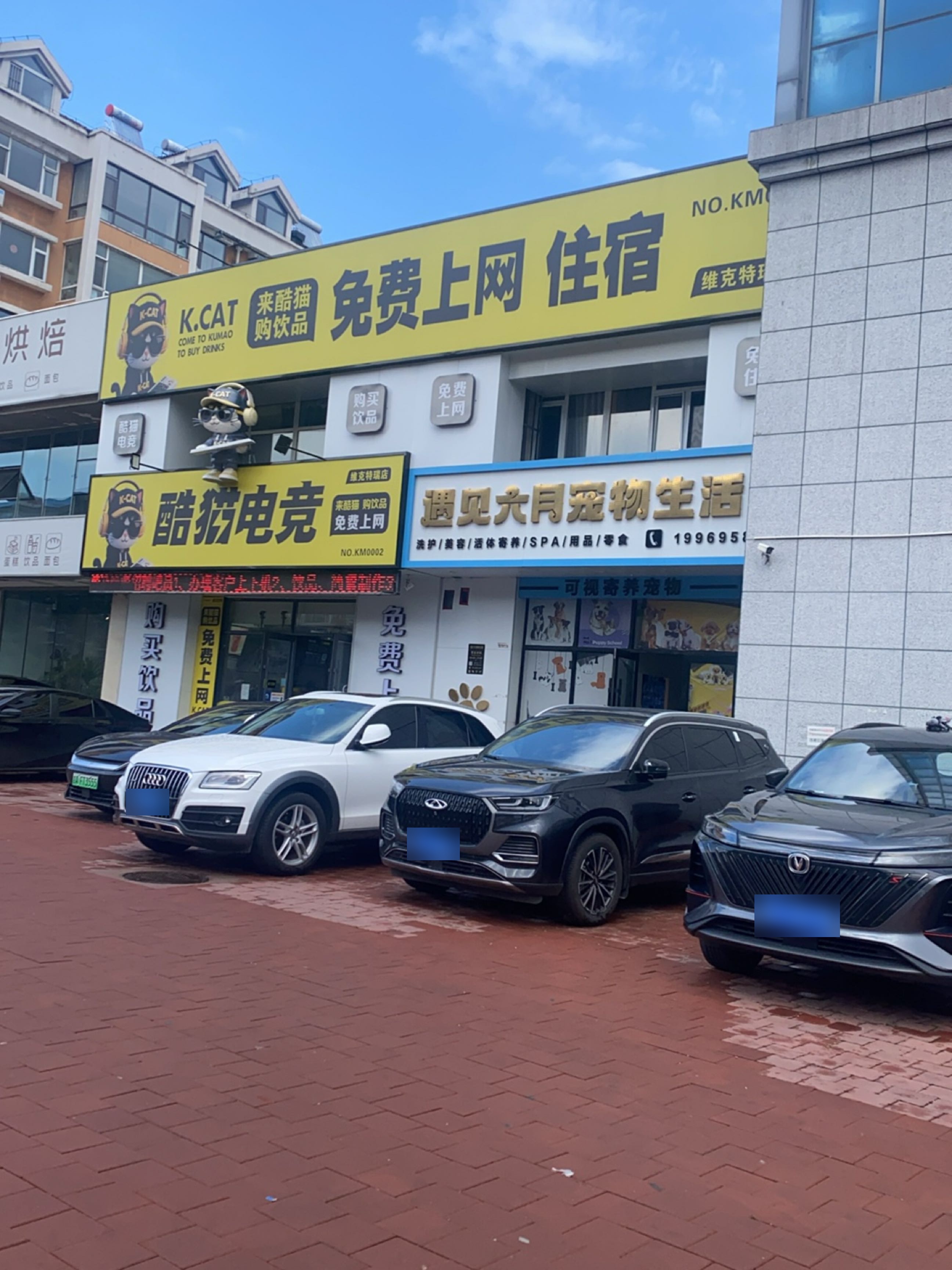 酷猫电竞(东环城路店)