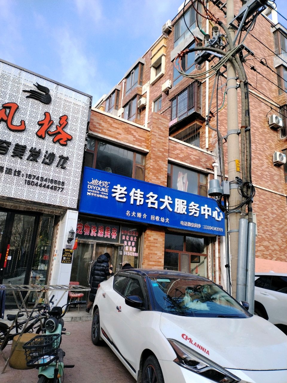 老伟名犬服务中心