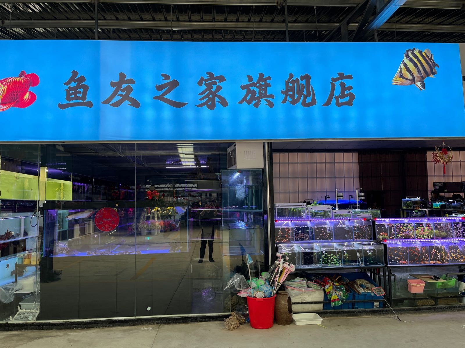 鱼友之家旗舰店(宁城路店)