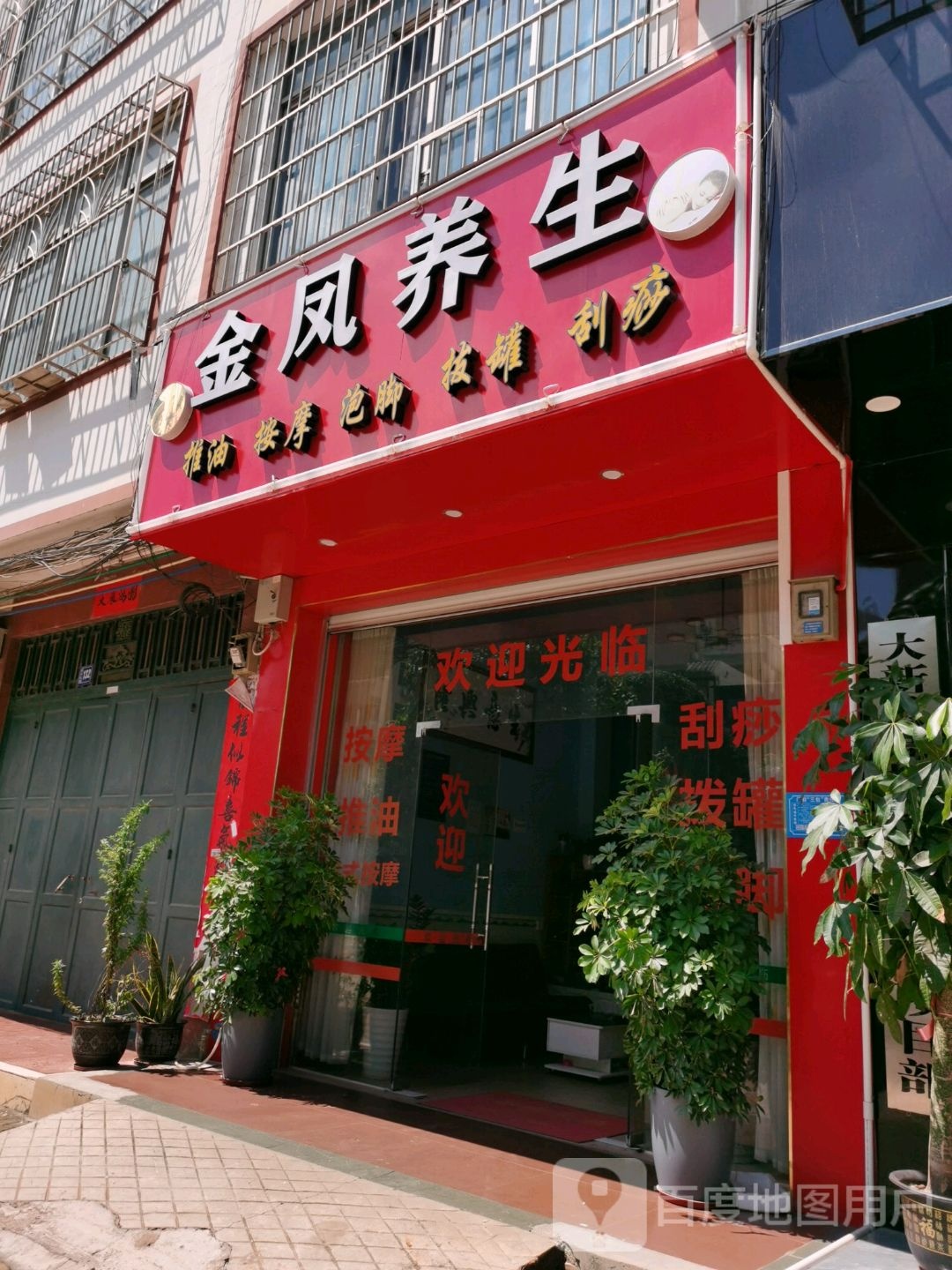 金凤养生