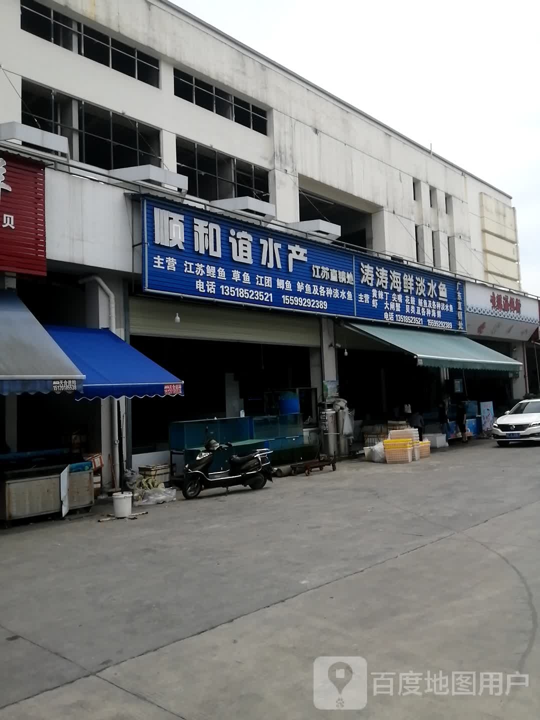 涛涛海鲜淡水鱼