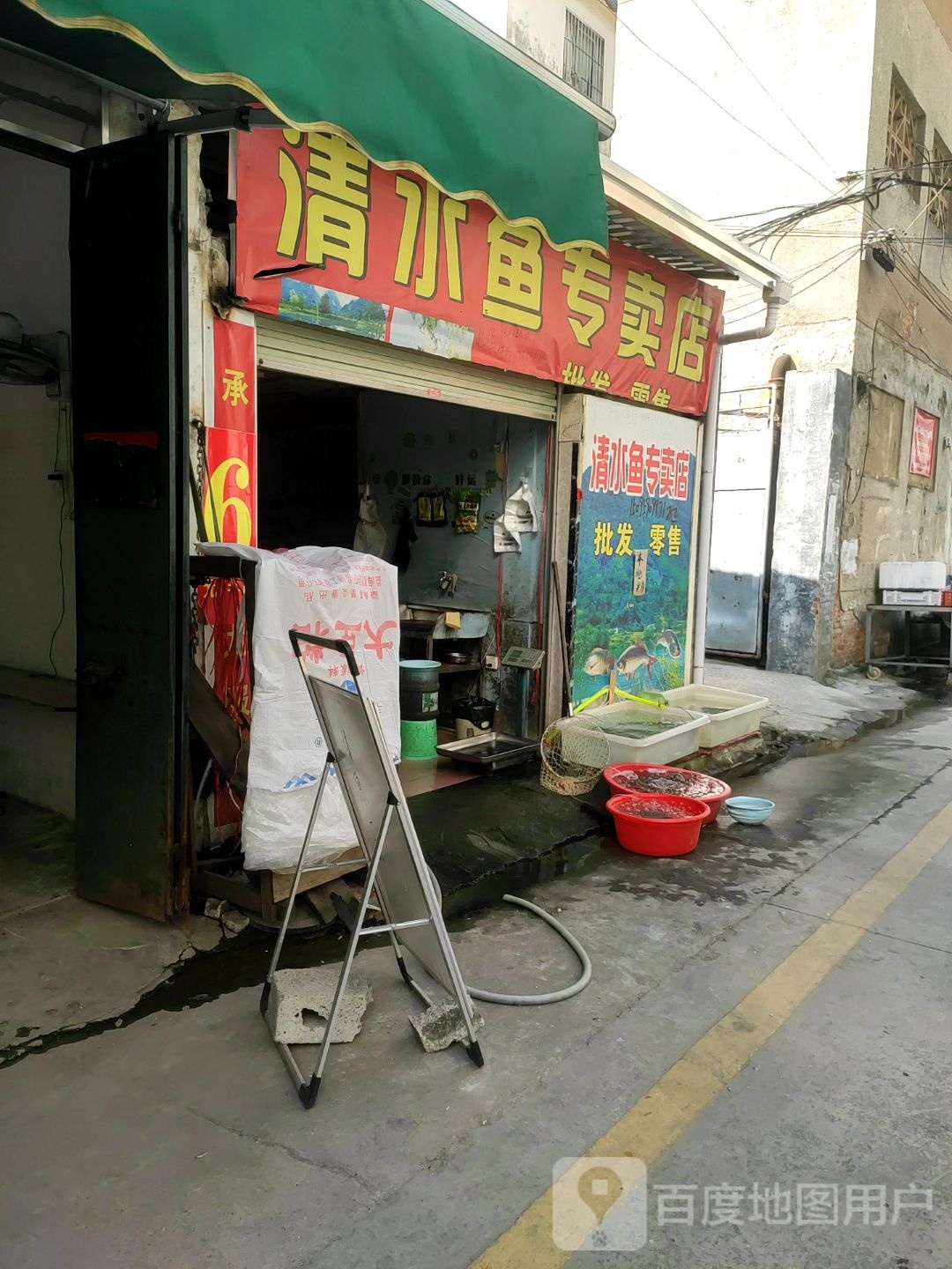 ·清水鱼专卖店