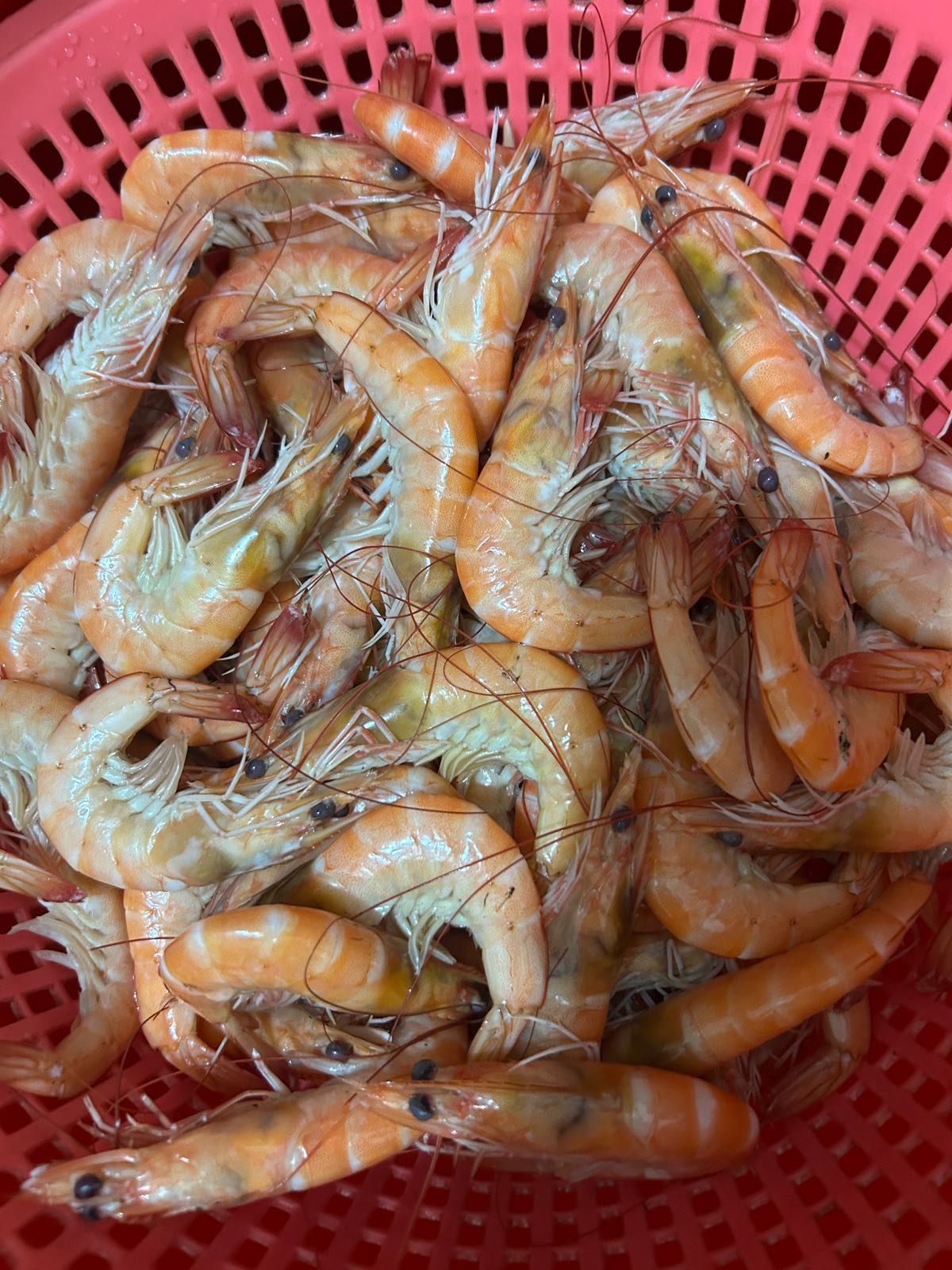 雄记海鲜