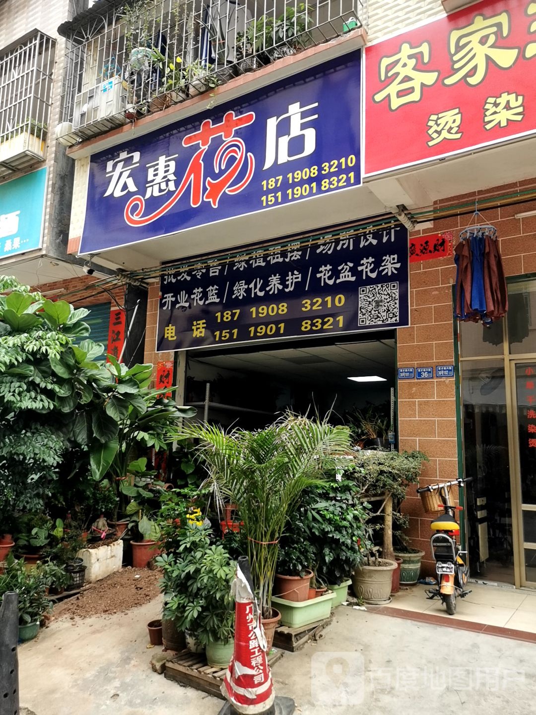 鹏惠花店