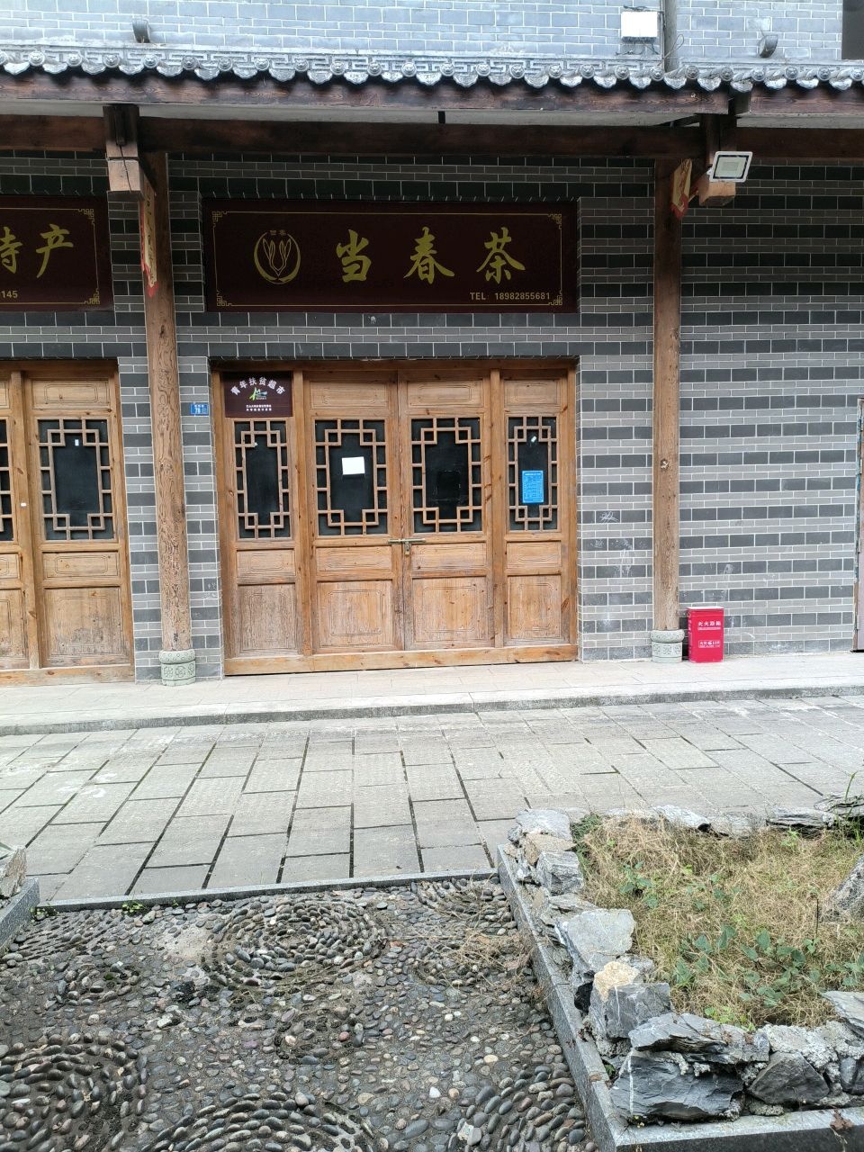 当春茶