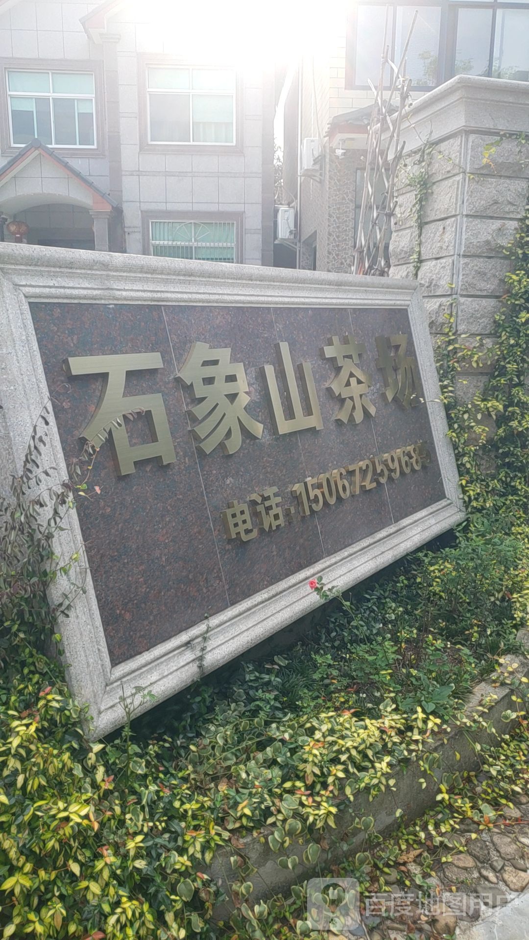 安吉县溪龙乡黄杜石象山茶场