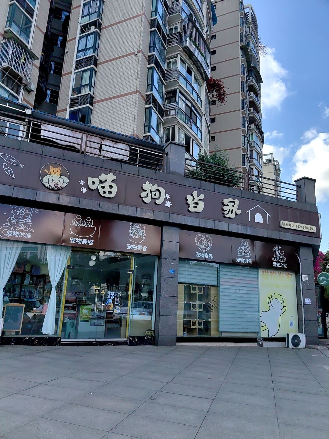 喵狗当家