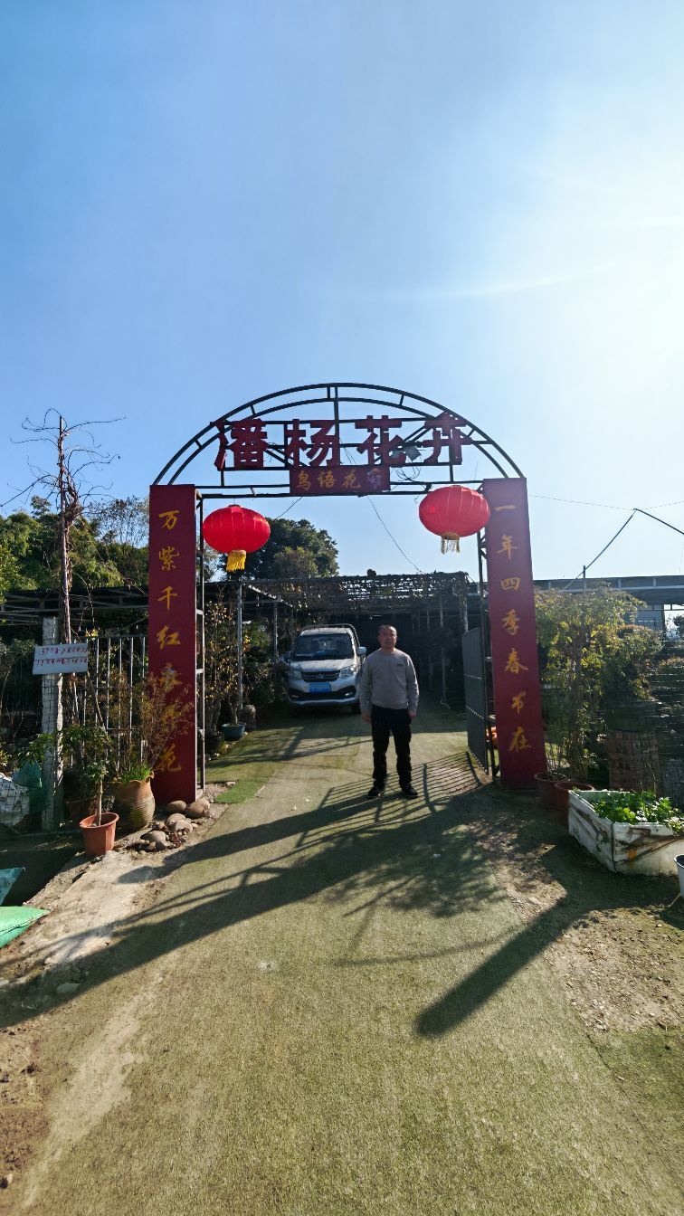 潘杨花卉