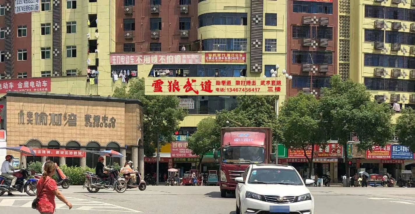 雪狼聘武道