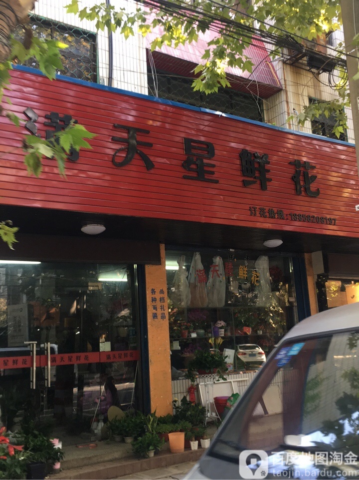 满天星鲜花(万兴路店)