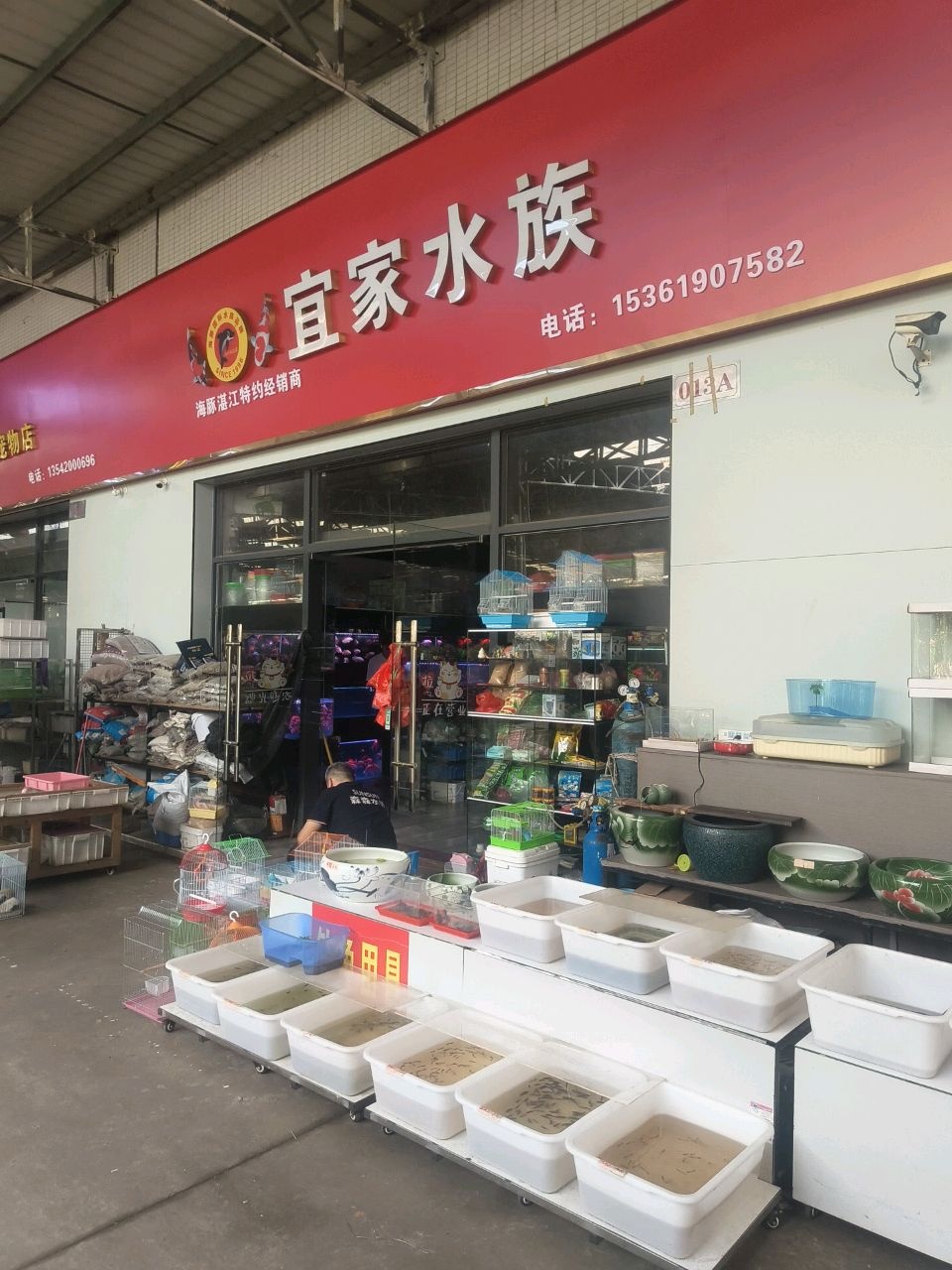 宜家水族