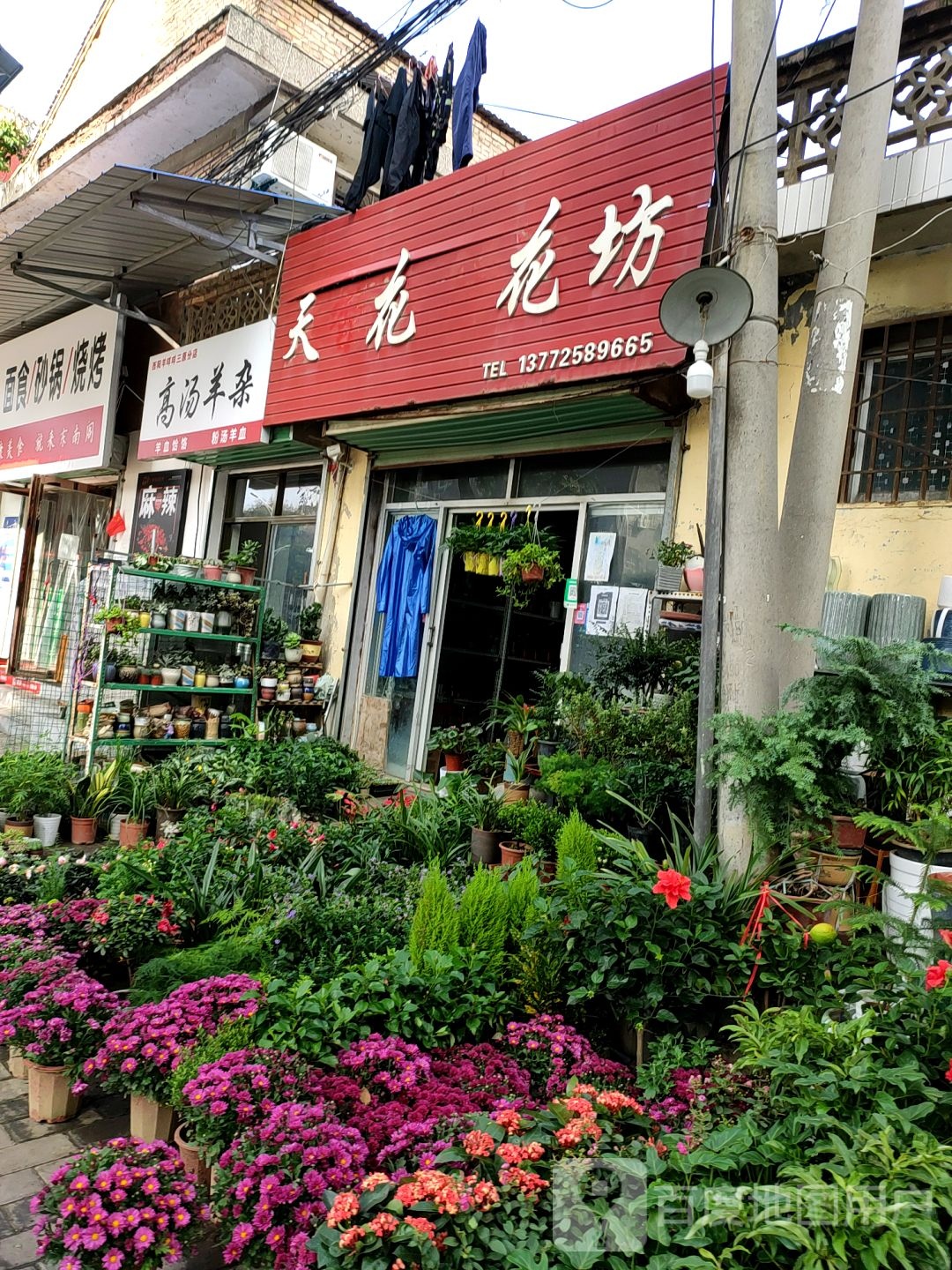 天花花坊